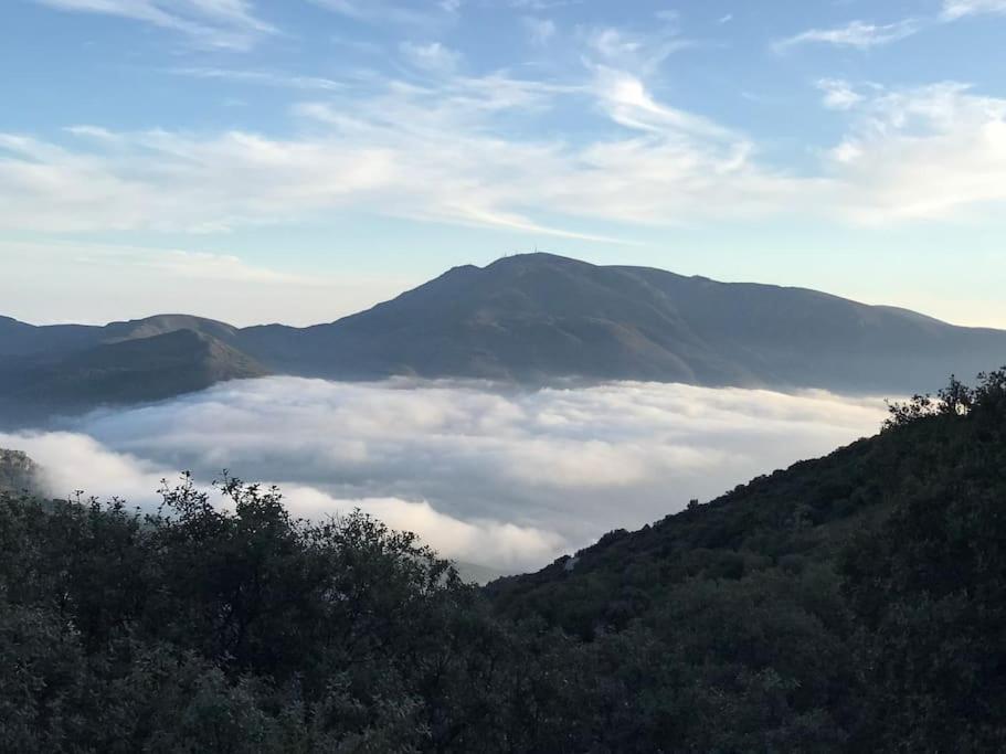 La Casa Rural De Paco Y Ana Pitres Zewnętrze zdjęcie