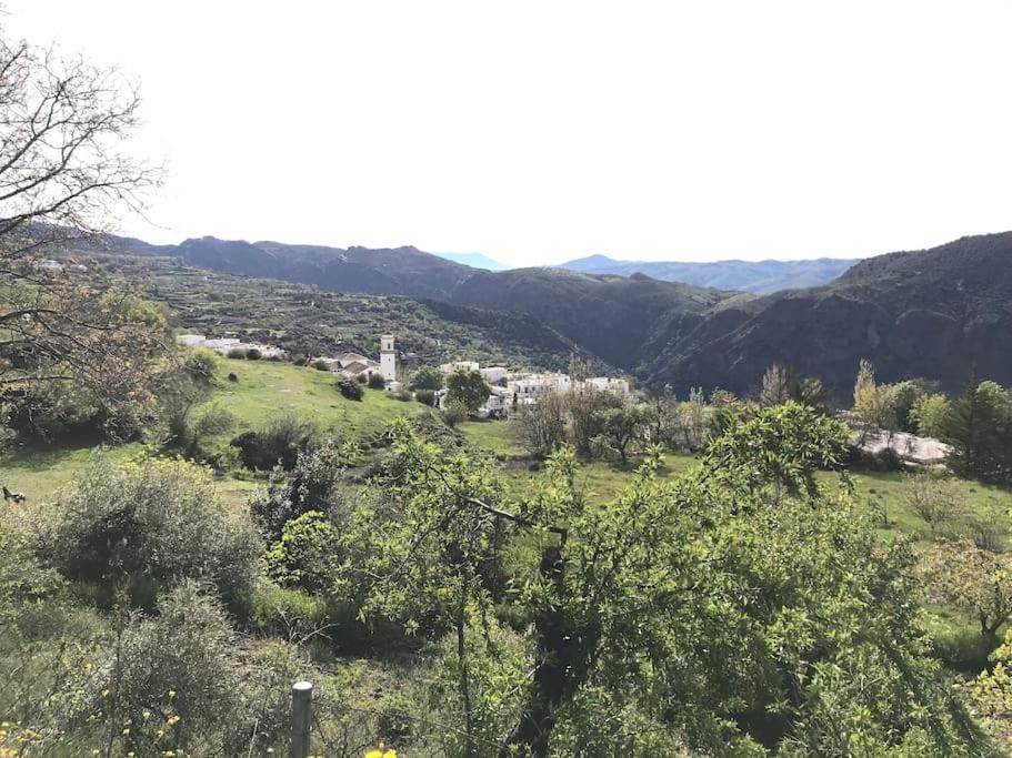 La Casa Rural De Paco Y Ana Pitres Zewnętrze zdjęcie