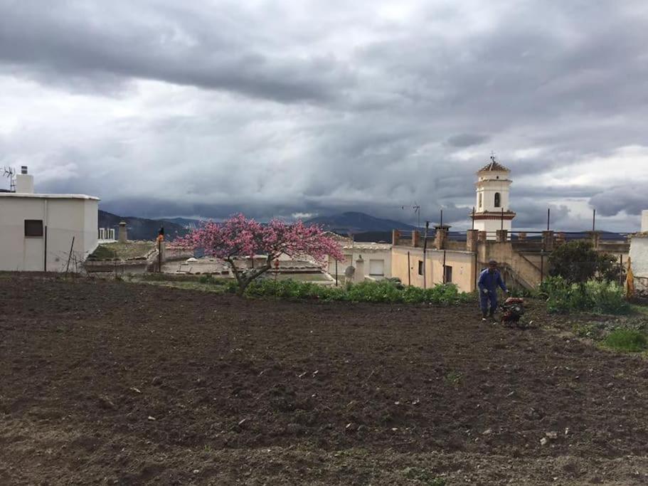 La Casa Rural De Paco Y Ana Pitres Zewnętrze zdjęcie