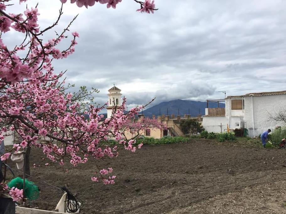 La Casa Rural De Paco Y Ana Pitres Zewnętrze zdjęcie