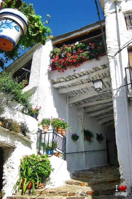 La Casa Rural De Paco Y Ana Pitres Zewnętrze zdjęcie