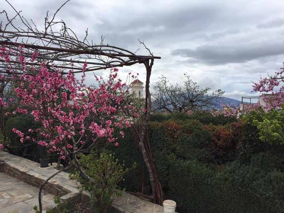 La Casa Rural De Paco Y Ana Pitres Zewnętrze zdjęcie