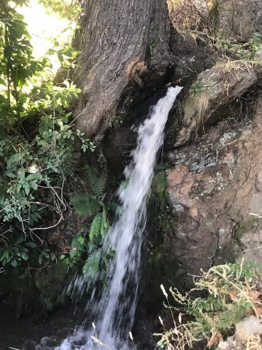 La Casa Rural De Paco Y Ana Pitres Zewnętrze zdjęcie